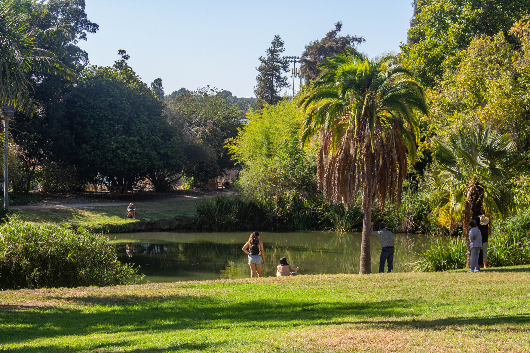 South Lake